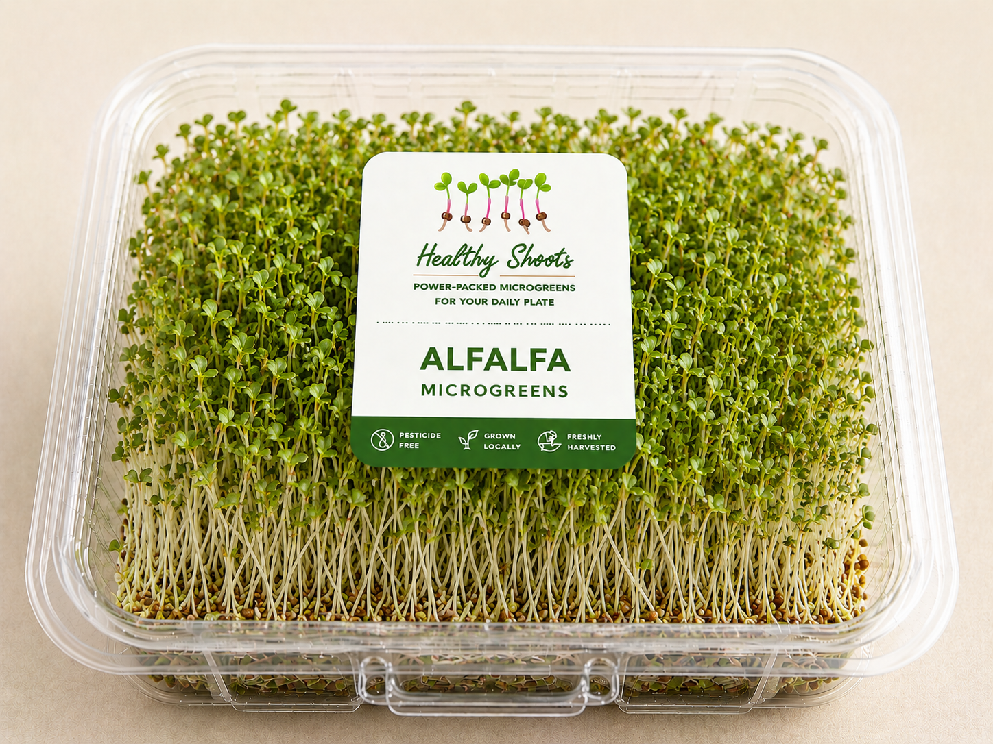 Alfalfa Microgreens