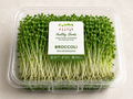 Broccoli Microgreens