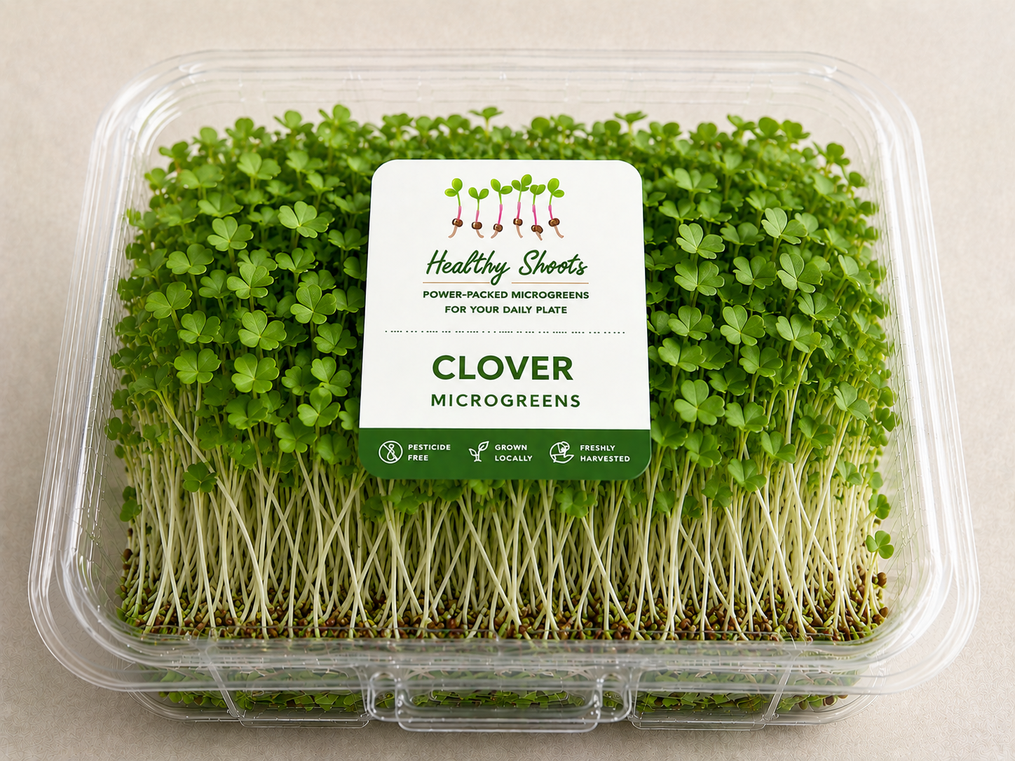 Clover Microgreens
