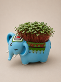 Hand-painted blue elephant planter with radish microgreens