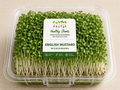 English Mustard Microgreens by Healthy Shoots