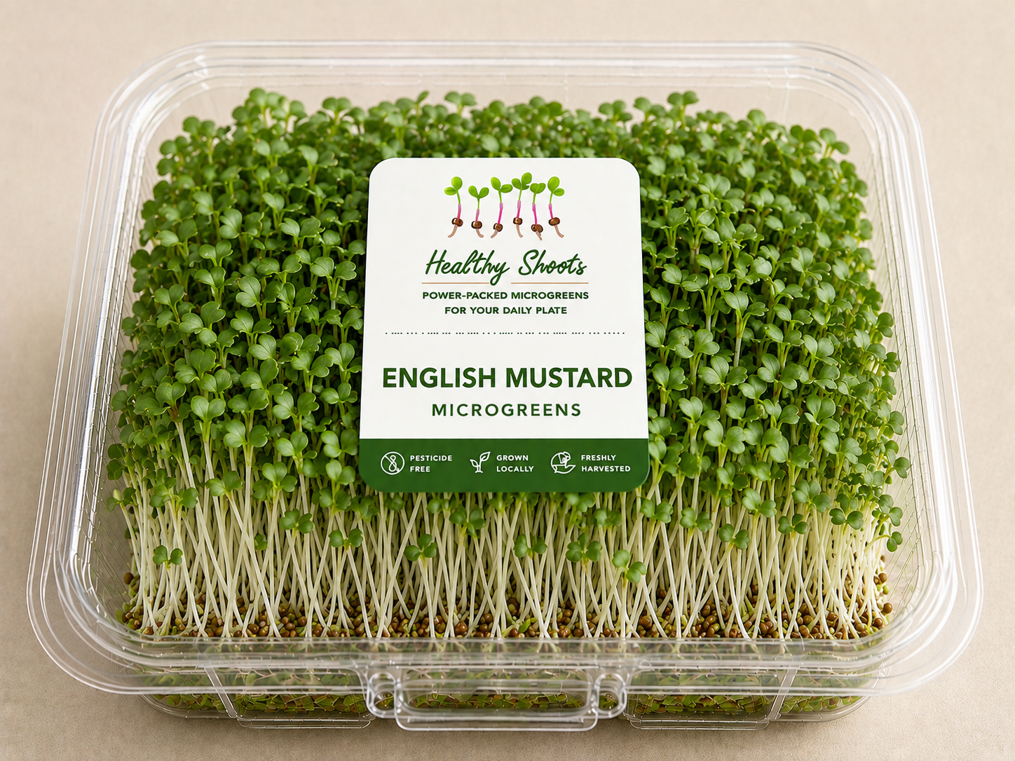 English Mustard Microgreens by Healthy Shoots