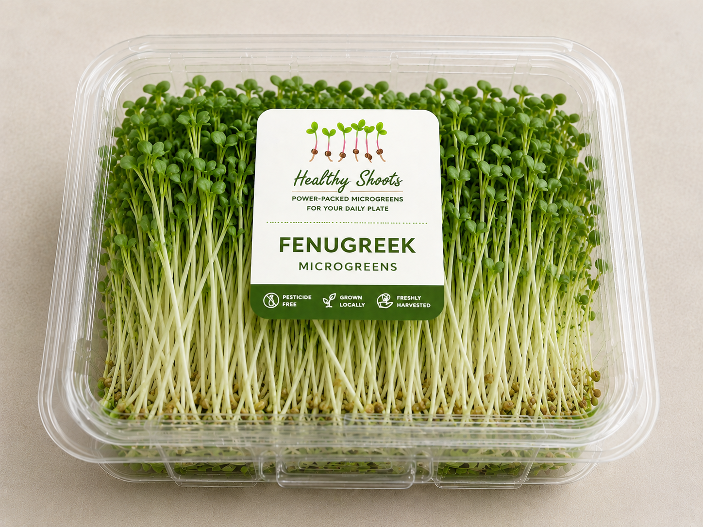 Fenugreek Microgreens