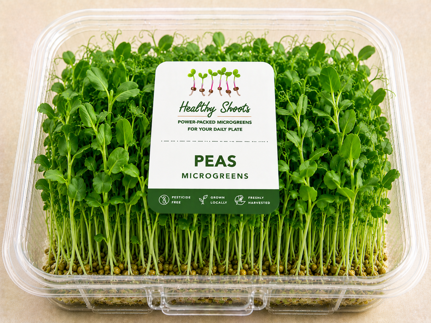 Peas Microgreens