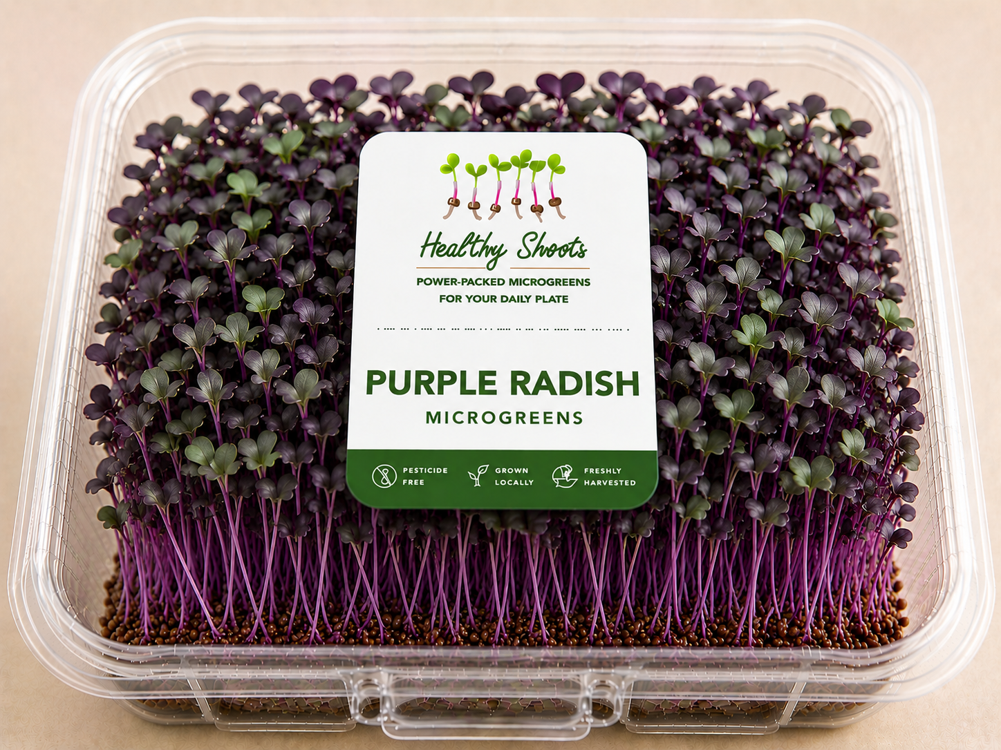 Purple Radish Microgreens by Healthy Shoots