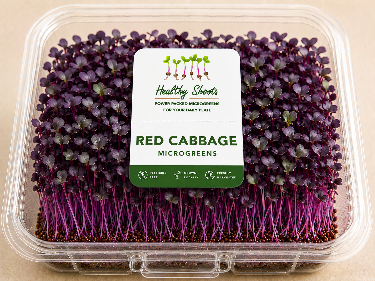 Red Cabbage Microgreens