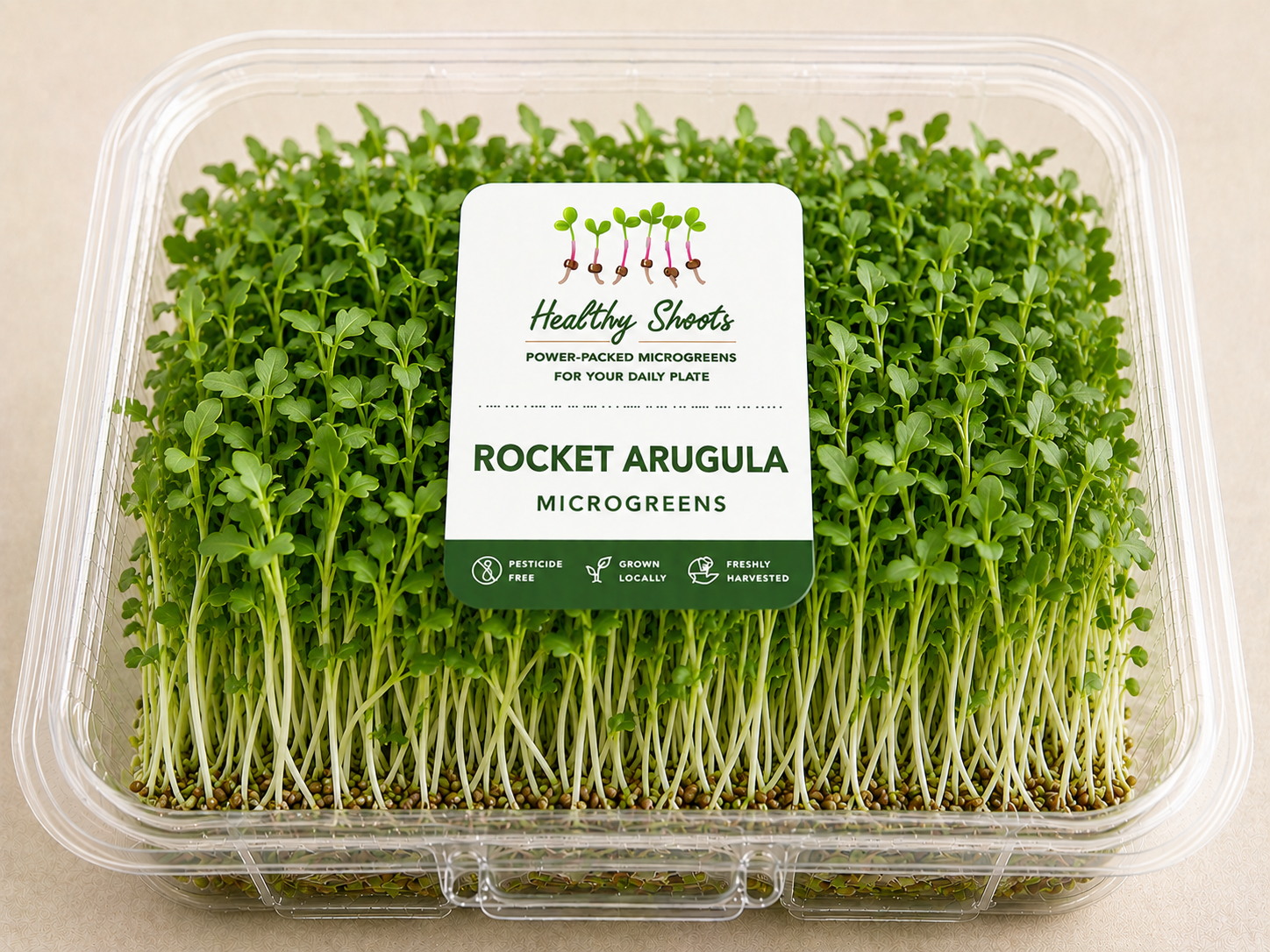 Rocket Arugula Microgreens by Healthy Shoots
