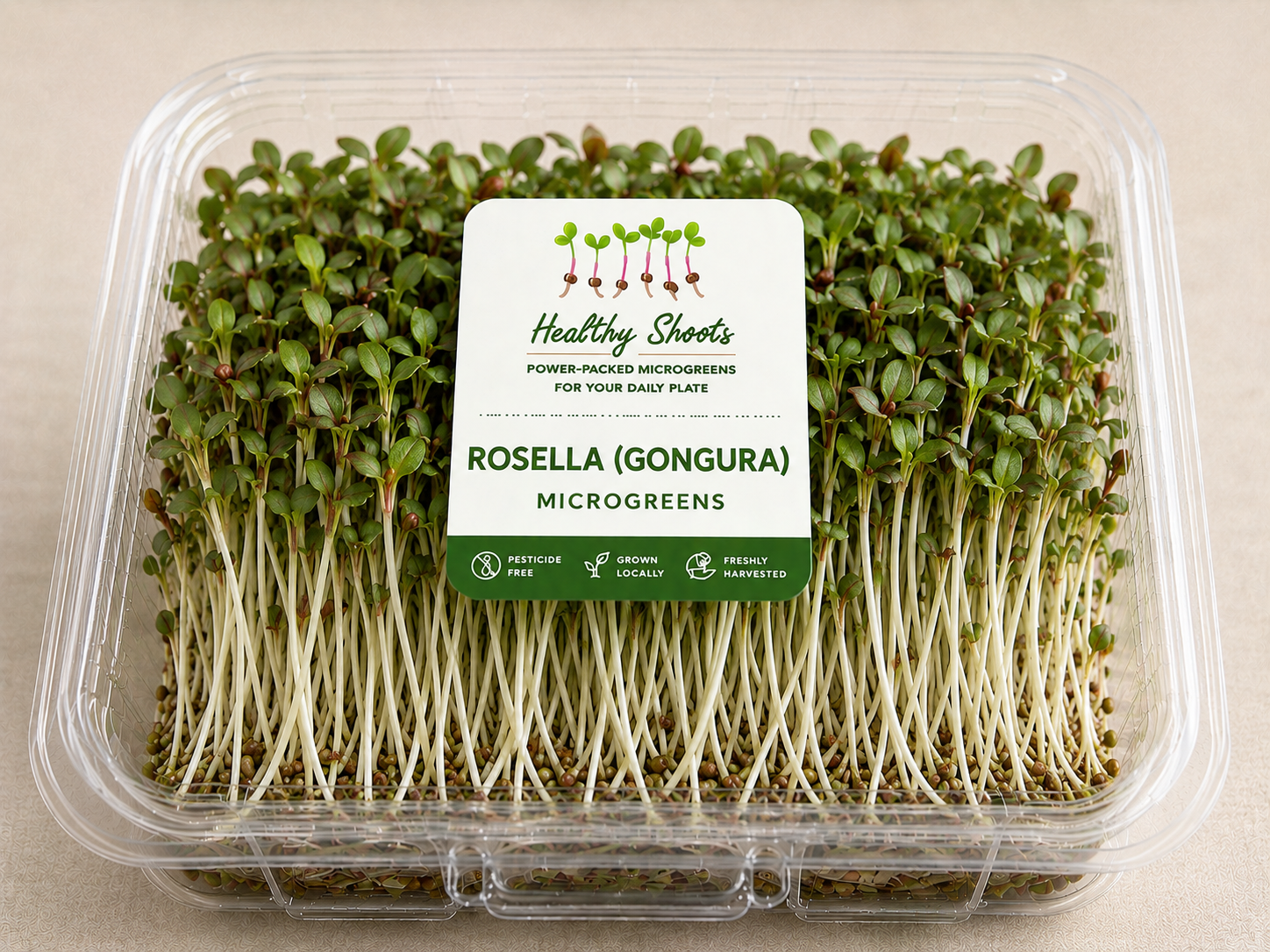 Rosella Microgreens by Healthy Shoots