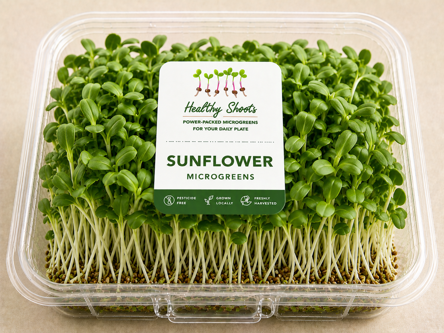 Sunflower Microgreens by Healthy Shoots