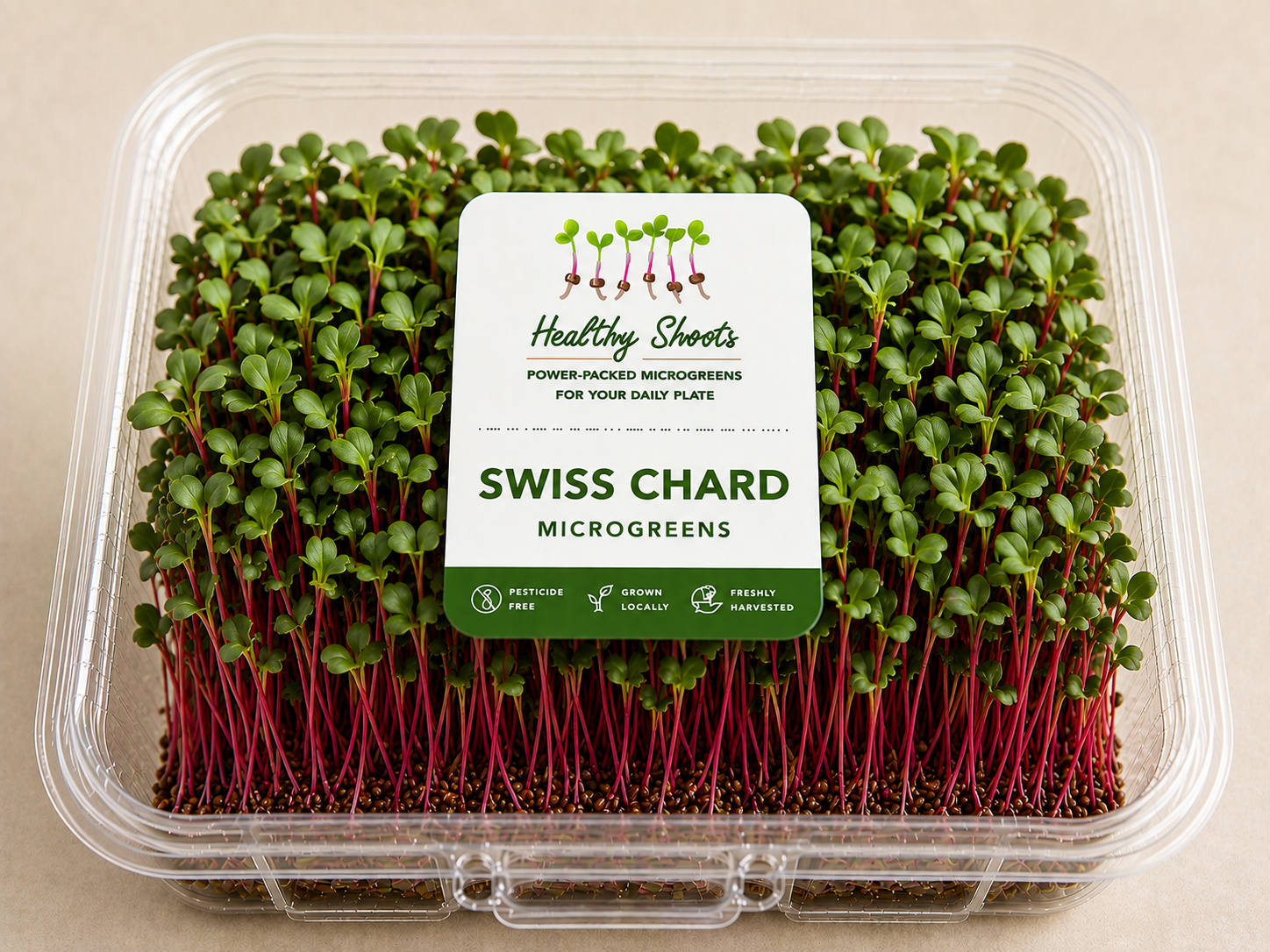 Swiss Chard Microgreens by Healthy Shoots