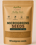 Wheatgrass Seeds Microgreens 100g by Healthy Shoots