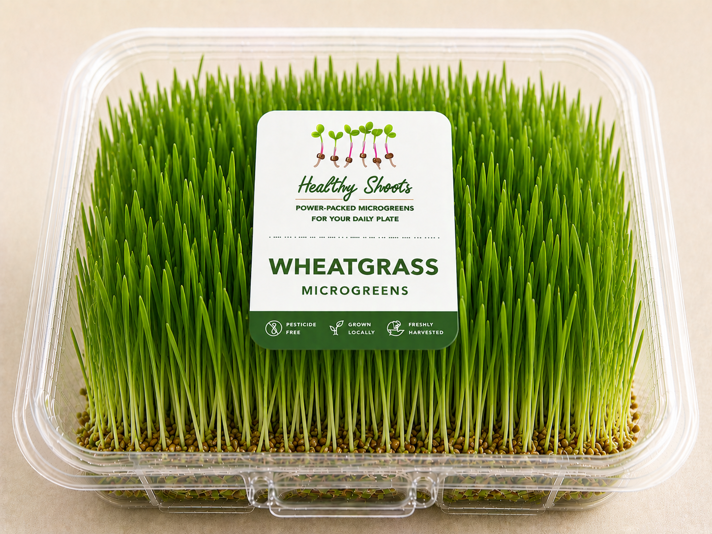 Wheatgrass Microgreens by Healthy Shoots