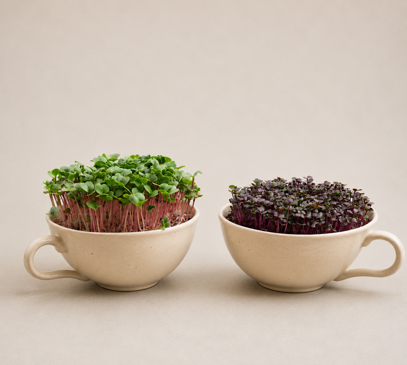 Speckled Teacup Planter with Microgreens
