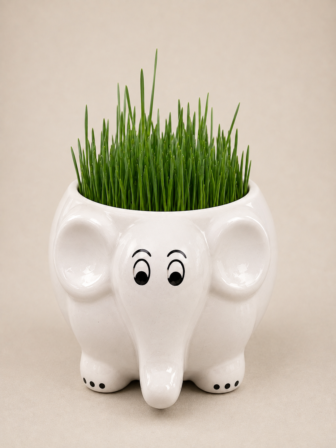White Ceramic Elephant Planter with Wheatgrass